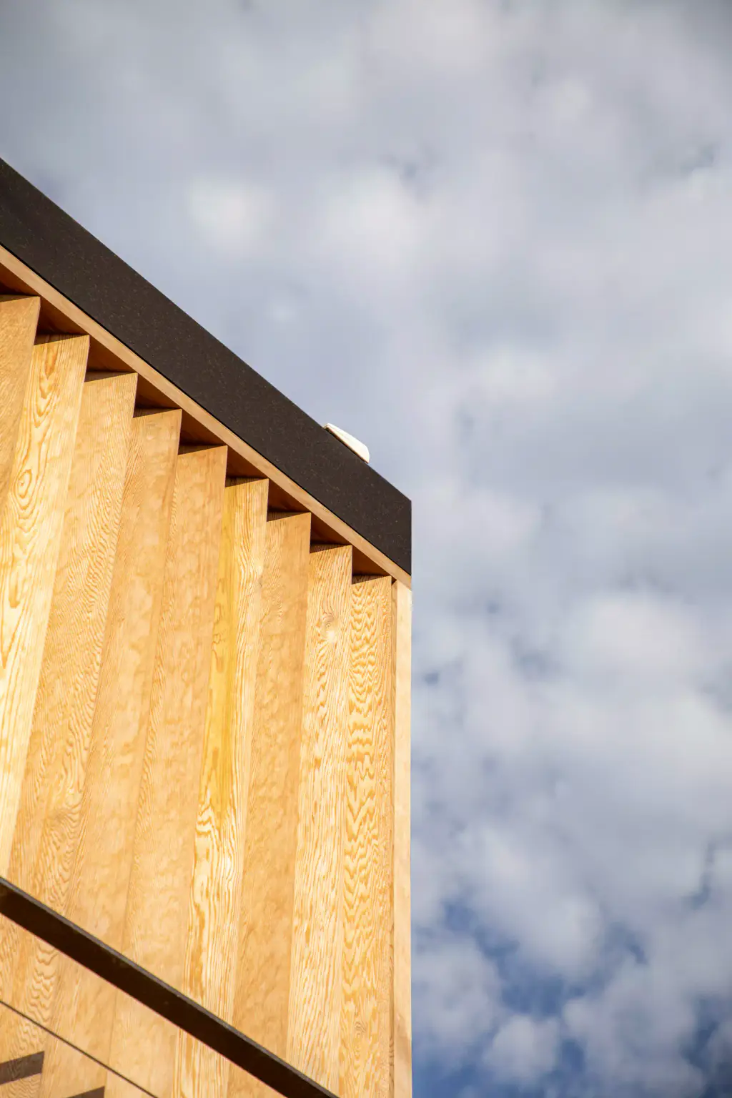 Detail of the brise-soleil with vertical wooden slats against a cloudy sky.