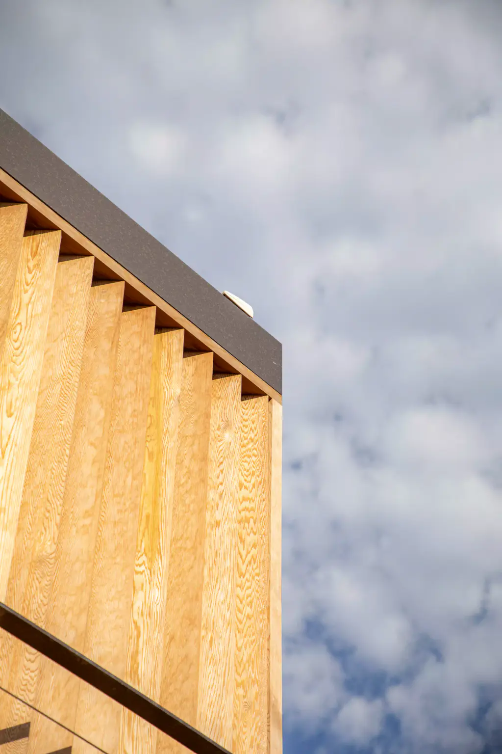 Privacy screen of vertical wooden slats seen from below, topped by an anthracite frame, cutting diagonally across a sky of white clouds.