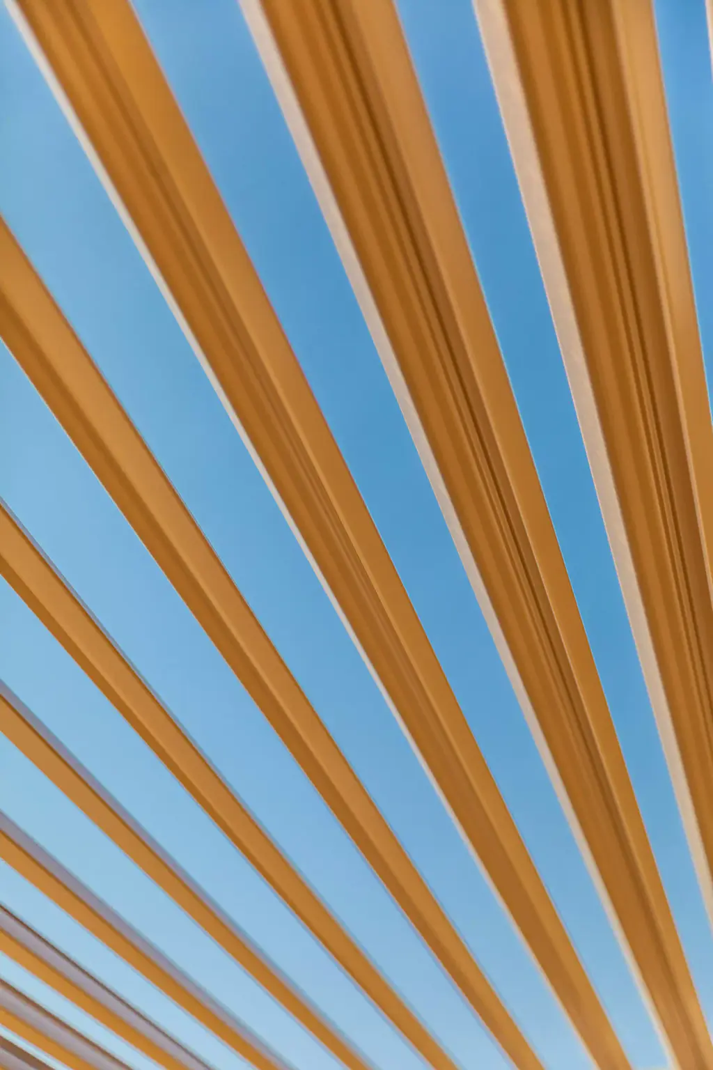 Lames grandes ouvertes vues de dessous contre le ciel bleu, perspective rayonnante.