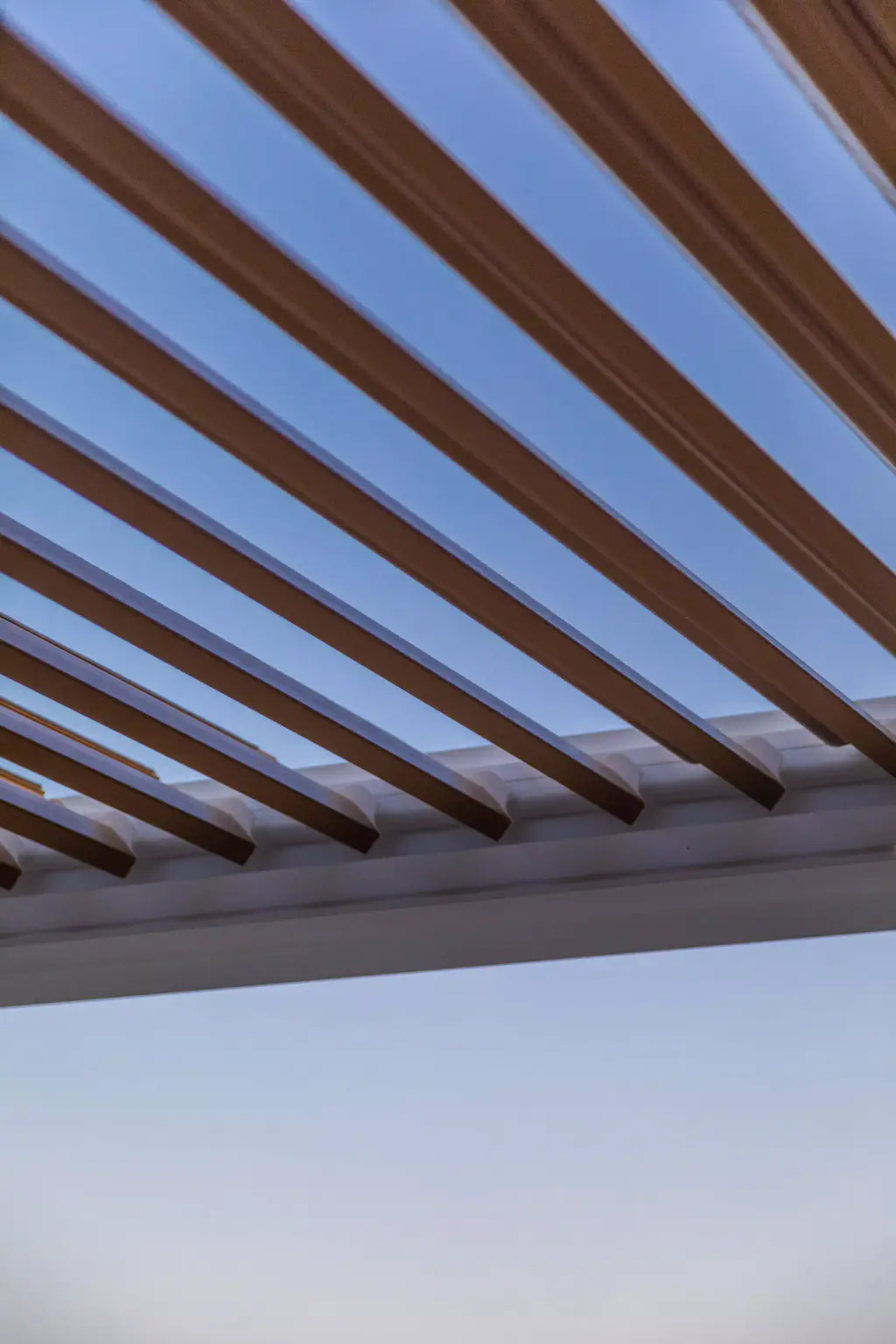 Lames ouvertes en diagonale sur ciel bleu de crépuscule.