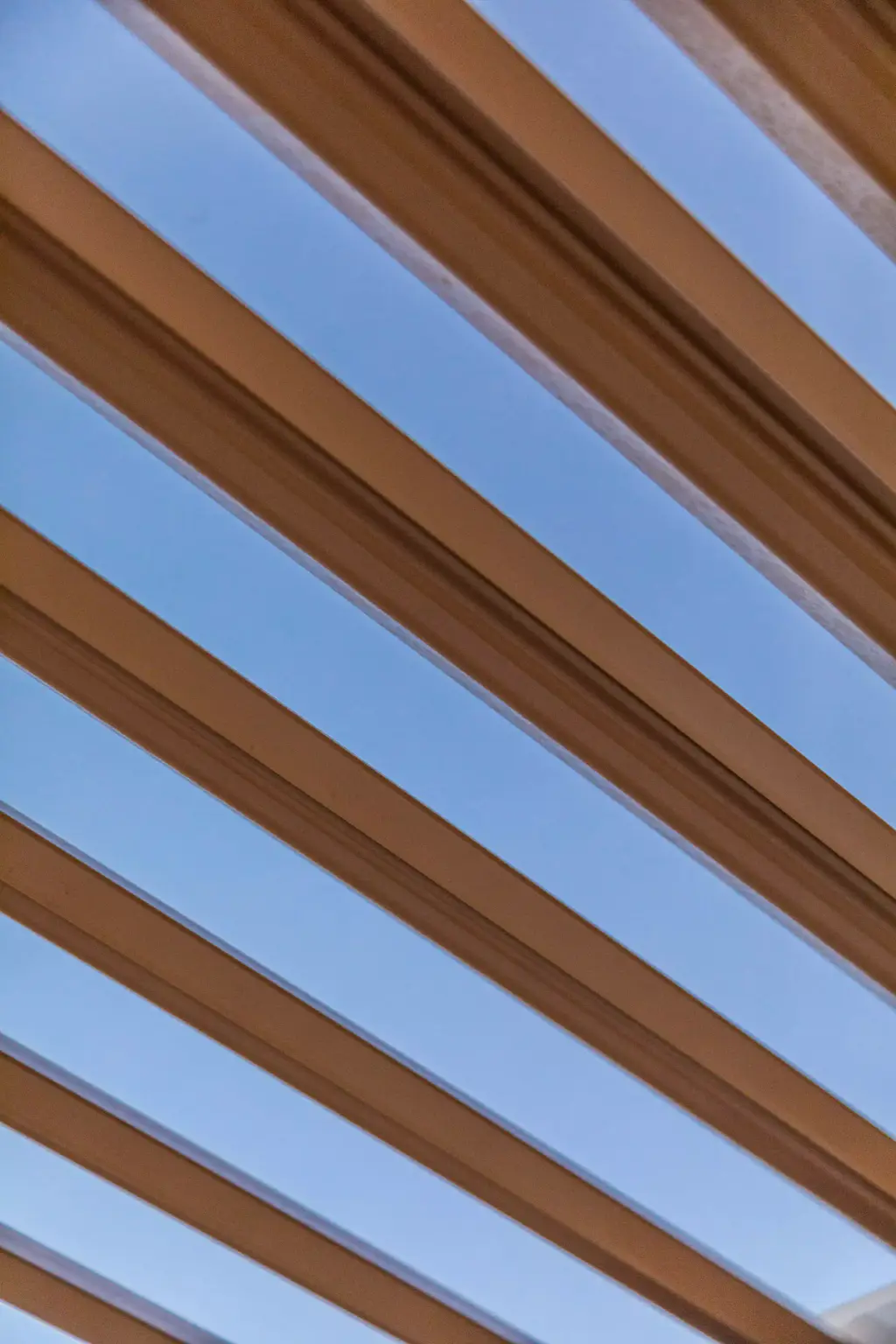 Gros plan de lames ouvertes sur ciel bleu de crépuscule.