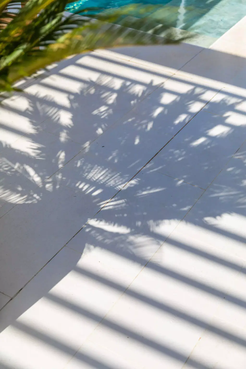 Ombres rayées des lames et ombre d’une palme sur le dallage blanc, un liseré de piscine en haut.