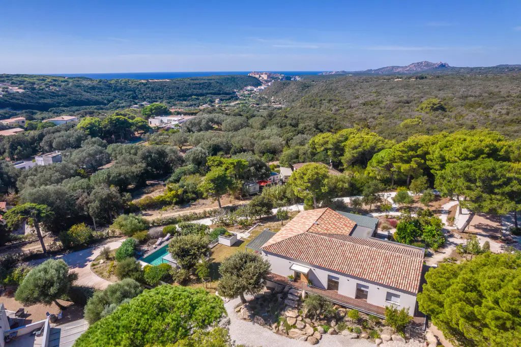 Vue drone large : toit de tuiles de la maison au premier plan, piscine à gauche, pins et maquis qui descendent vers la mer, falaises claires à l’horizon.