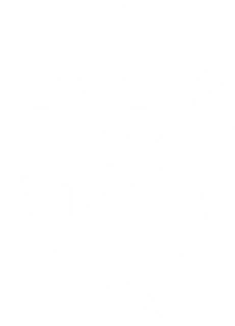 Logo Jersey Jack Pinball